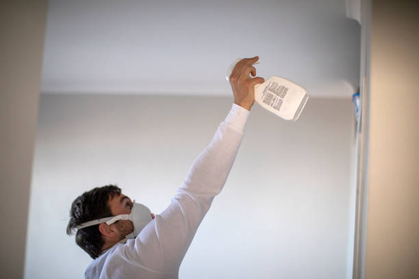 Best Best Mold Removal Companies  in Canton, IL