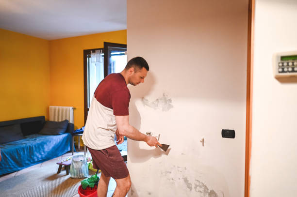 Best Mold Removal Near Me  in Canton, IL